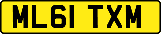 ML61TXM