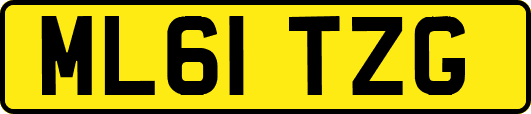ML61TZG