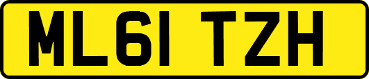ML61TZH