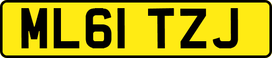 ML61TZJ