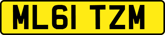ML61TZM