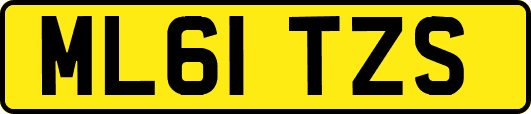 ML61TZS