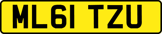 ML61TZU