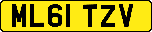 ML61TZV
