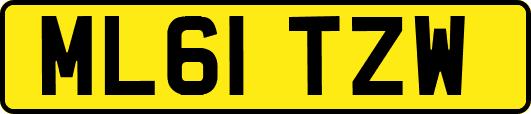 ML61TZW