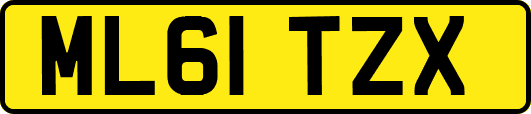 ML61TZX