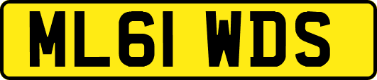 ML61WDS