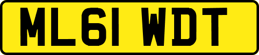 ML61WDT