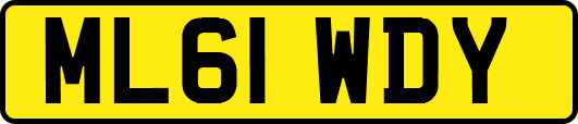 ML61WDY