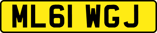 ML61WGJ