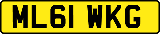ML61WKG