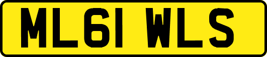 ML61WLS