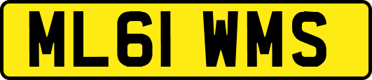 ML61WMS