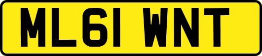 ML61WNT