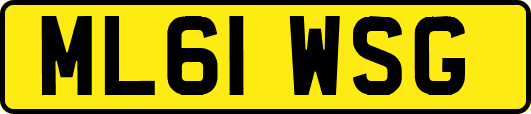 ML61WSG
