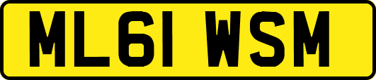 ML61WSM