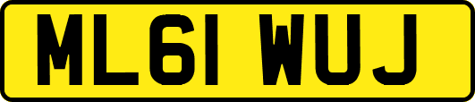 ML61WUJ