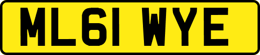 ML61WYE