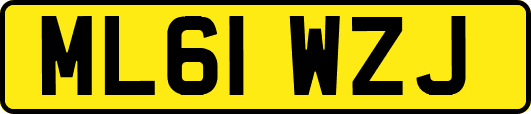 ML61WZJ