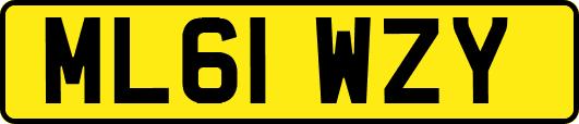 ML61WZY