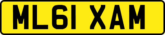 ML61XAM