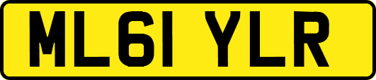 ML61YLR
