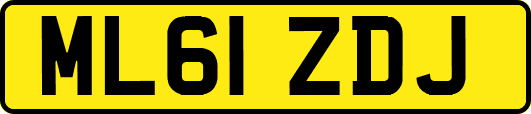 ML61ZDJ