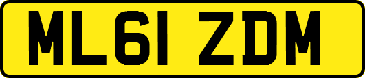 ML61ZDM