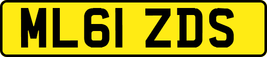 ML61ZDS