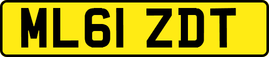 ML61ZDT