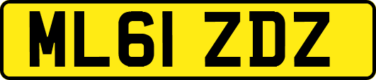 ML61ZDZ