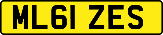 ML61ZES