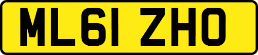 ML61ZHO