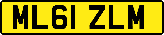 ML61ZLM
