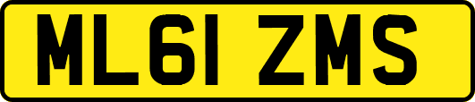 ML61ZMS