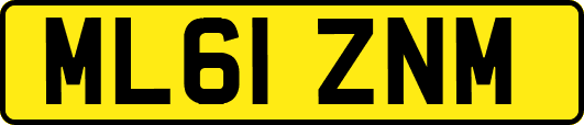 ML61ZNM