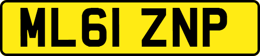 ML61ZNP