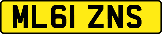 ML61ZNS