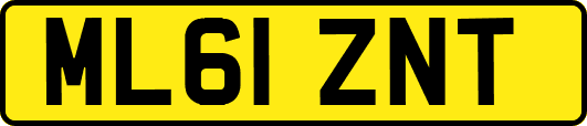 ML61ZNT