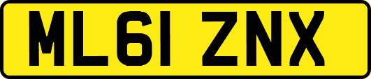 ML61ZNX