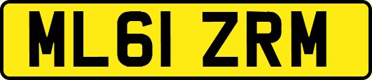 ML61ZRM