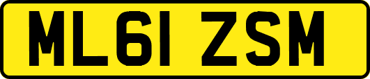 ML61ZSM