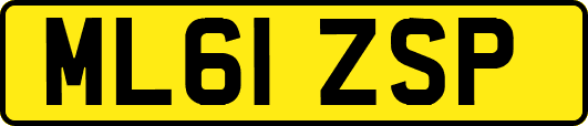 ML61ZSP
