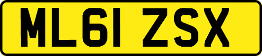 ML61ZSX