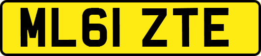 ML61ZTE