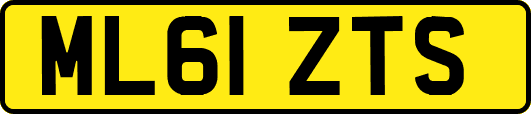 ML61ZTS