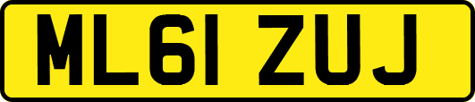 ML61ZUJ