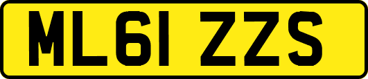 ML61ZZS