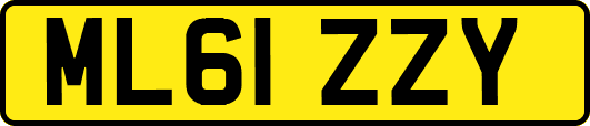 ML61ZZY