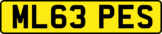 ML63PES